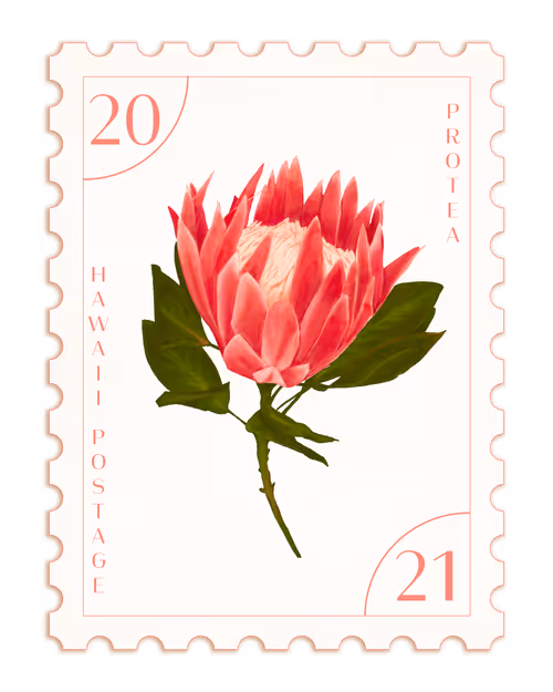 Item #88204702854161368162961354220593838701253332420301916767824370733800293924865 Media