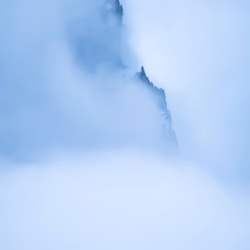 Moody Mountain Forest