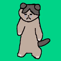 pizcom#5