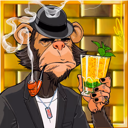 FunkyMonkeyFratHouse CUSTOM #08