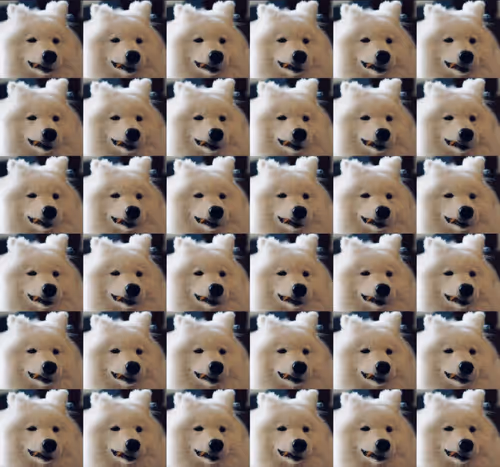 Item #919881104117818023937162122873745772427003128789095818032177417702816612353 Media