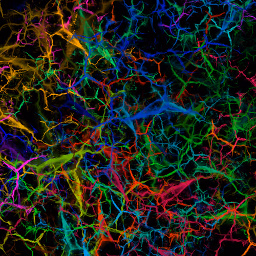 Item #50918555062582210159273167721725581522404743190091886750106034859703864918017 Media