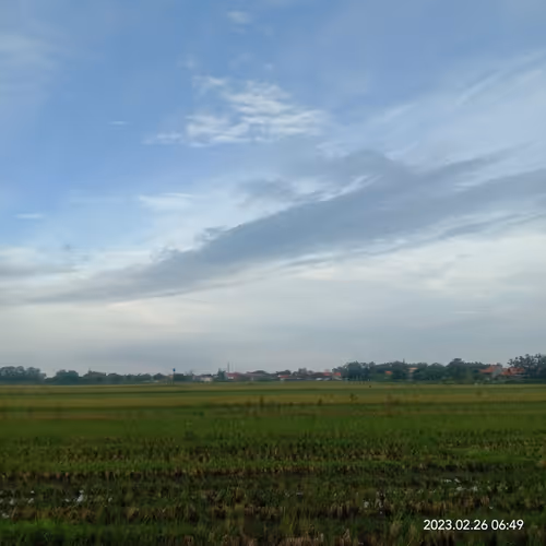 Item #15416064837448188610247350204521494909343598378477019548960405630103133880321 Media