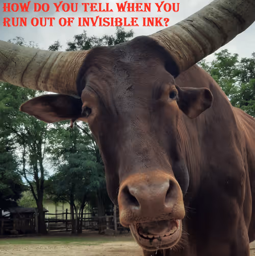 Item #51313302132644519913343847646347811445510524411913136629935896402460915269633 Media