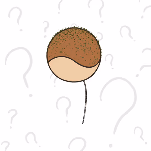 Item #70347178970434090120221538108295694415064880829017278010093198429378867888129 Media