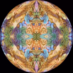 Morphosphere II