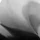 102332330010392241424483100560917049247298654134596954223831831437323144265729
