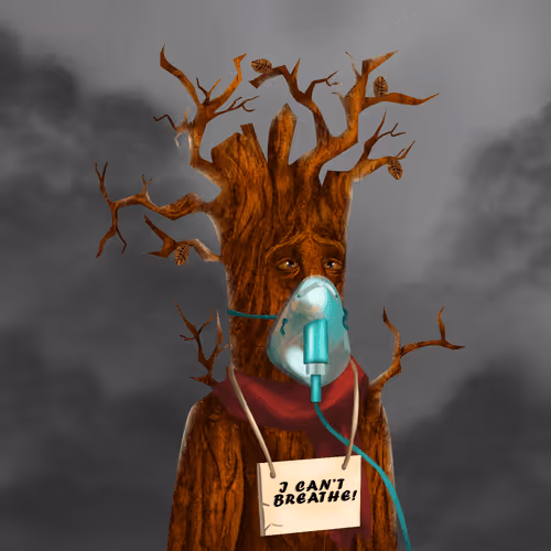 Item #38969088093190670381878411557565580659447067316565611691845276643861232353281 Media