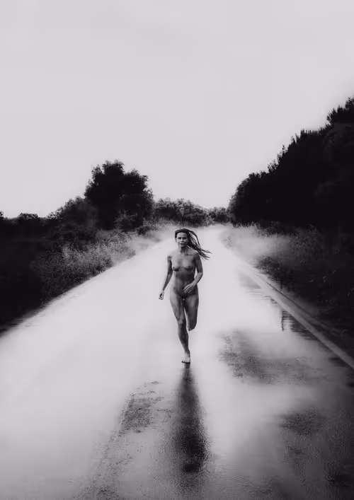 Item #74895612829637780706248325170650045951376310524088245673866730543166429069313 Media