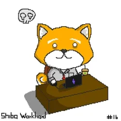 Shiba workhard#16