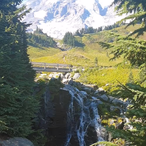 Chad_Chadstone Collection