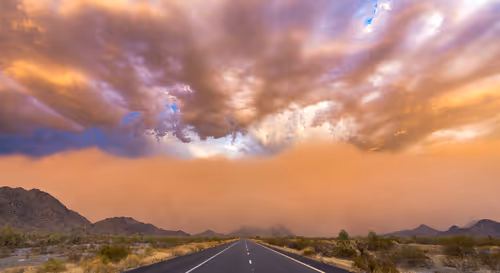 Item #95204431680649181601528738578851453896688564435428028381601595481047020077057 Media