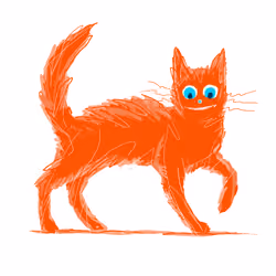 Orange cat