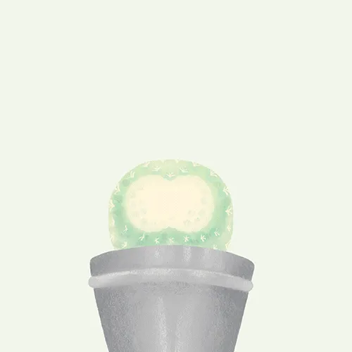 30553300816966576008253930897144586545380525750786904028286960036912633479169