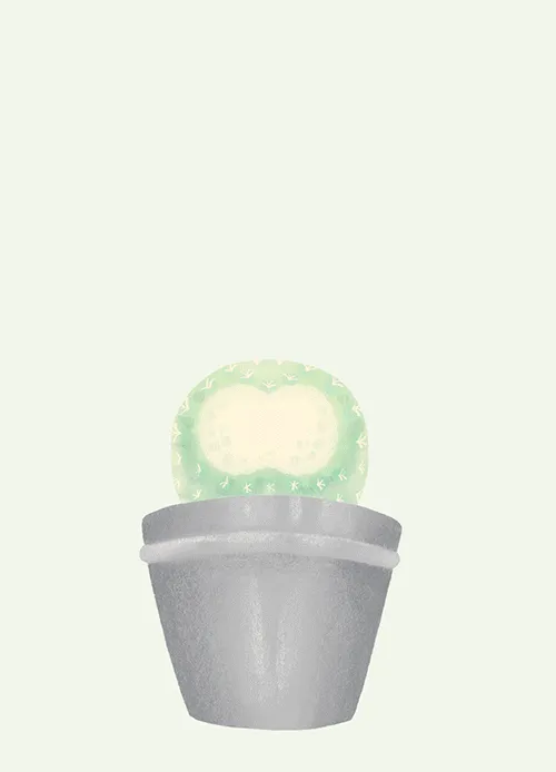 Item #30553300816966576008253930897144586545380525750786904028286960036912633479169 Media