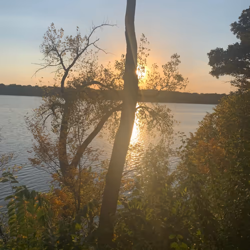 BoredNFTs Collection