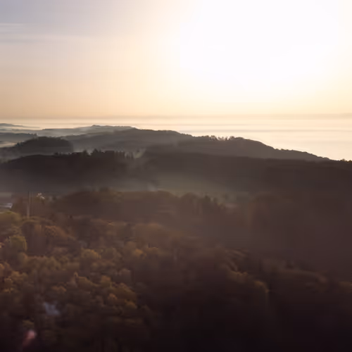 Asprey_nft Collection