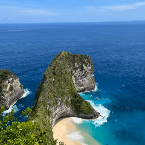 DaVincithegreat Collection