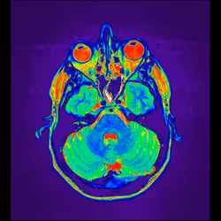 64162533542198579898252916190583583845604629893829087458582976028366994407425