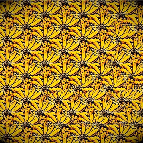 59533603458434116742145555316201003167216148373957054231191507570317548584965