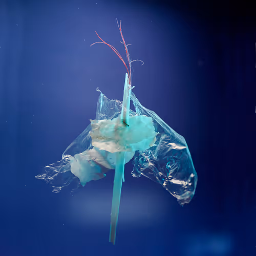 109516060790128716410476023957010007194992899360469946350860993264416127451137