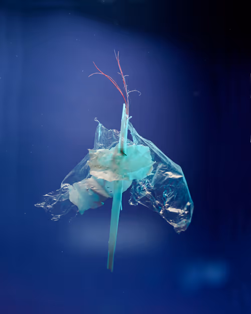 Item #109516060790128716410476023957010007194992899360469946350860993264416127451137 Media