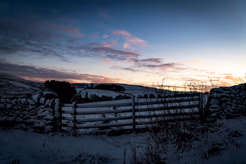 Item #63696860322879532950422636248045700974445885945239296243379094236383661785098 Media