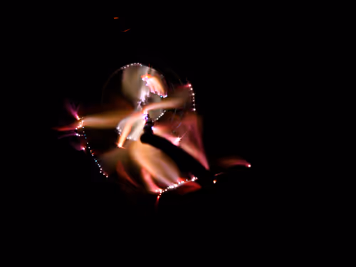 Item #45731211464929816441170859700976373292149702980452148839612468931416400330753 Media