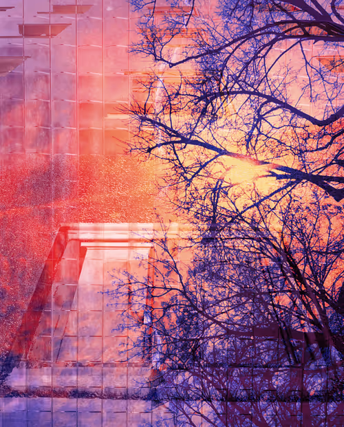 Item #58312433631864427601172952075011378080943056977712016653169188466532485693441 Media