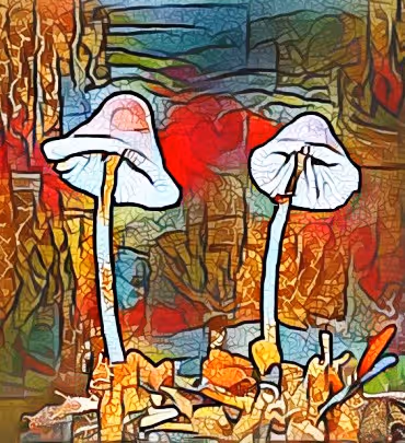 Item #98828088198769885069129805652987605738903563667474416042030428803822191116289 Media