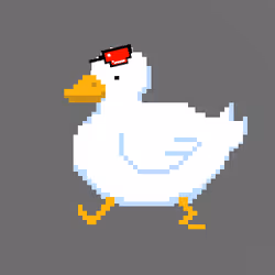 DancingDucks #5
