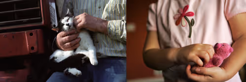 Item #95798395344160826478230491499252628572040143534185362822691349325811432816641 Media