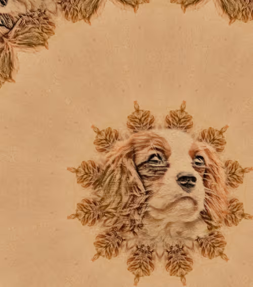 Item #63938683334380912477580122543406405078014333284913913577190088017260398510081 Media