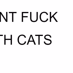 Don't Fuck with Cats