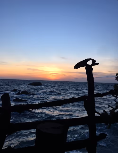 Item #40129036347338487732493830186327944618305484146391989675731997375420801482952 Media