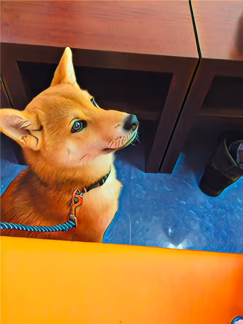 Item #3814394517890814440926960043709868767242911423944077660847794665571670294633 Media