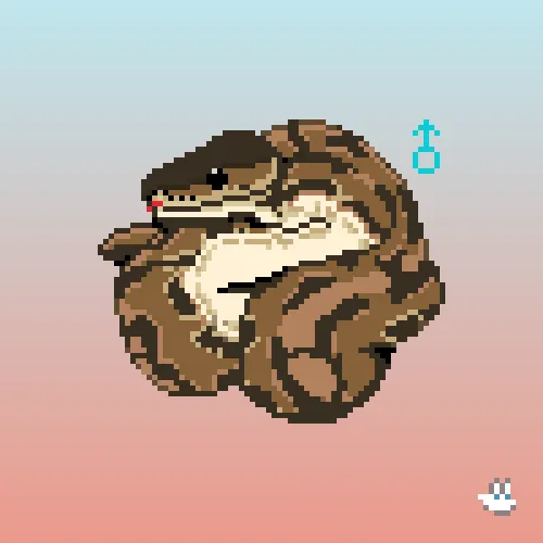 Item #89685544351134784796111577688974543226895989964253757234668744503307804868609 Media