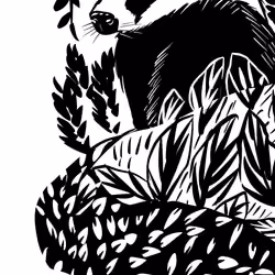 Badger #06