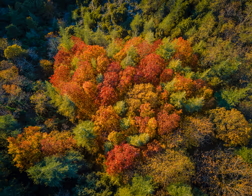 Item #95229034153510470396511515867568444678676379780033711068818665236175576367105 Media