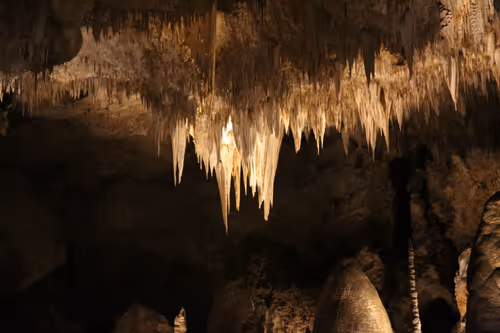 Item #70867767148206433816285647026950890777096964968120148821785755171734096445441 Media