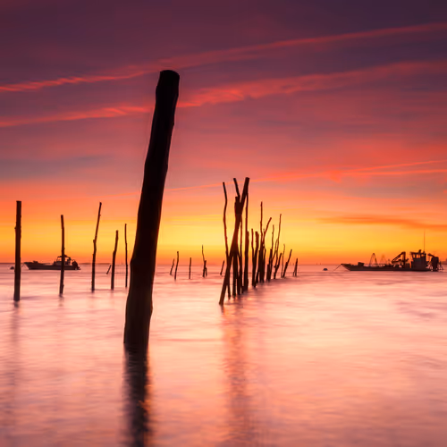 L'Herbe, Cap Ferret