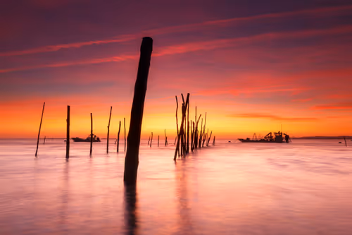 Item #33913556043655992485094381743340351336212161347103993477257409407172736974849 Media