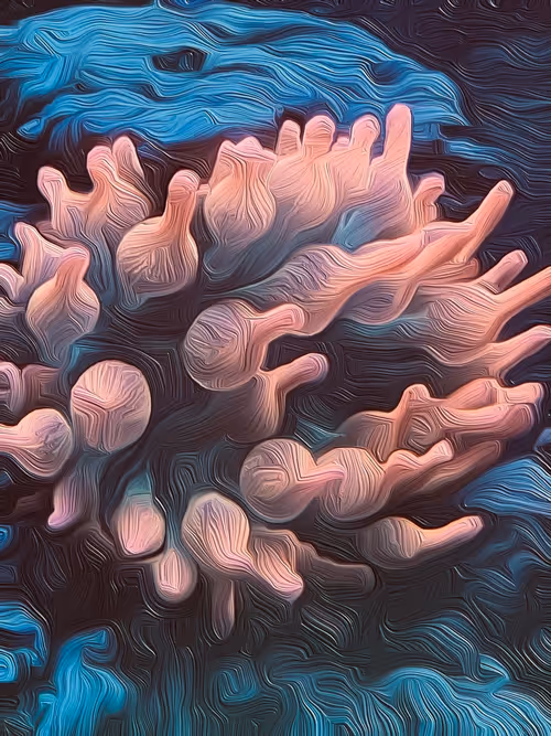 Item #35969124183570606232272415562113793945597562469906022633487073311127238606849 Media