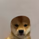 8316562894969602144694638309153562143625037230707950572202173821384401092609