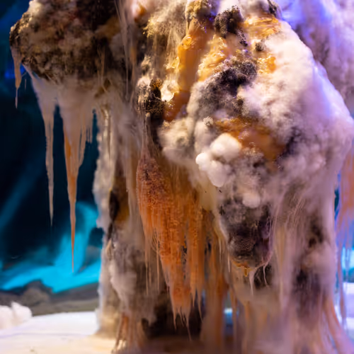 Earthfungal