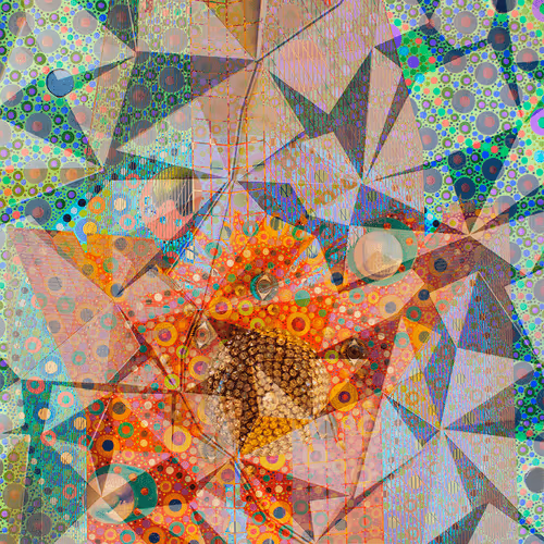 DahliaDreszer Collection