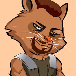 Raccoon-419