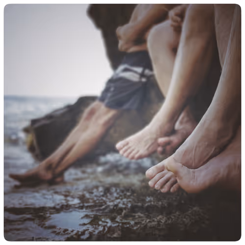 Item #115063816418514951154258762127288984100481774672699272562835740882433038352385 Media