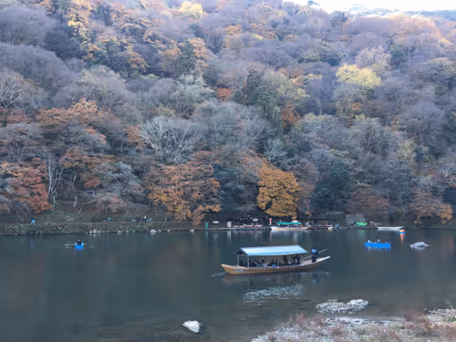 Untitled Collection #21935985