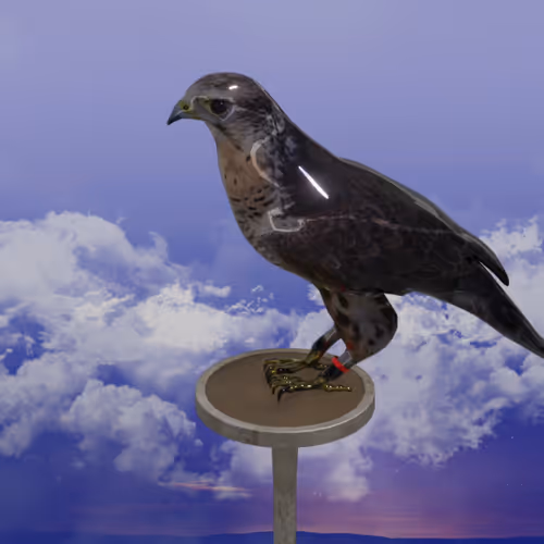 5362693153686757663037229957776630052012240176014263673100968395979689558017